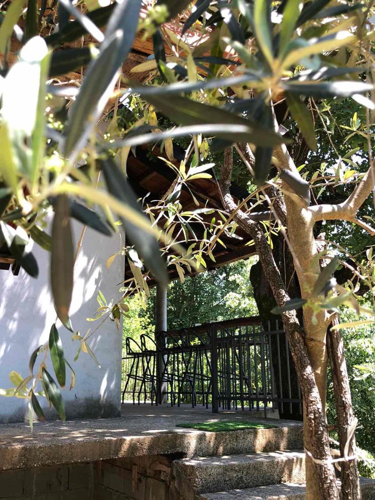Bandici House Daire Podgoriçe Oda fotoğraf